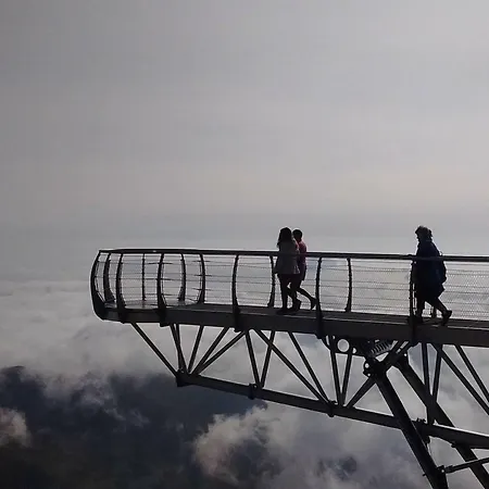 Msk65 Pyrenees Daire