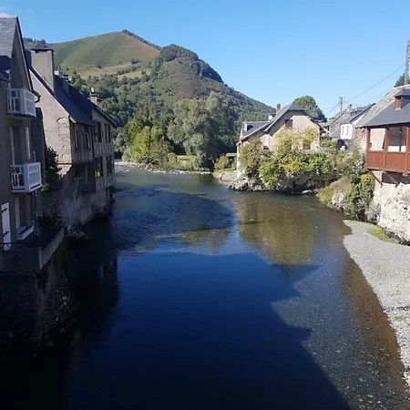 Daire Msk65 Pyrenees